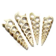 4 Pcs 2.5-3.5 Inches Sliced Seashells Cut Strombus Shells