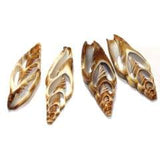 4 Pcs 1.5-2 Inches Sliced Seashells Cut Strombus Shells
