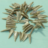 Natural Assorted Shell Beads 1 String