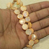 12mm Disc Shell Beads Peach 1 String