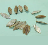 Natural Assorted Shell Beads 1 String