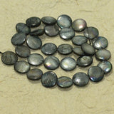 12mm Disc Shell Beads Black 1 String