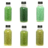 6 Colors Seed Beads Bottles Combo Green, Size 11/0